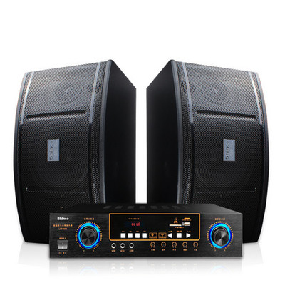 Shinco 新科 DK-601家庭KTV音响套装 打造私人娱乐空间的理想选择